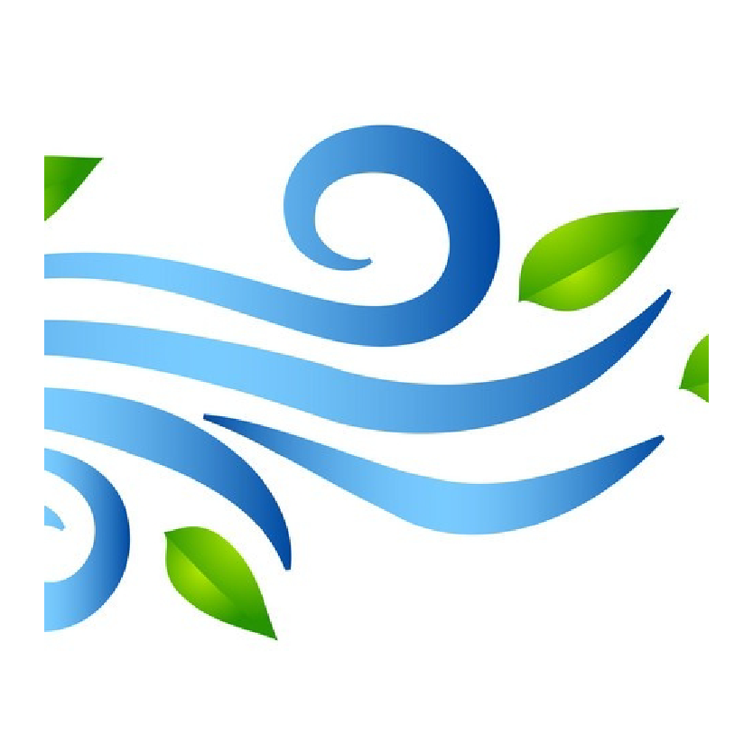 Zili viļņi un zaļas lapas uz balta fona — "4 Vēji" vizuālā zīme.