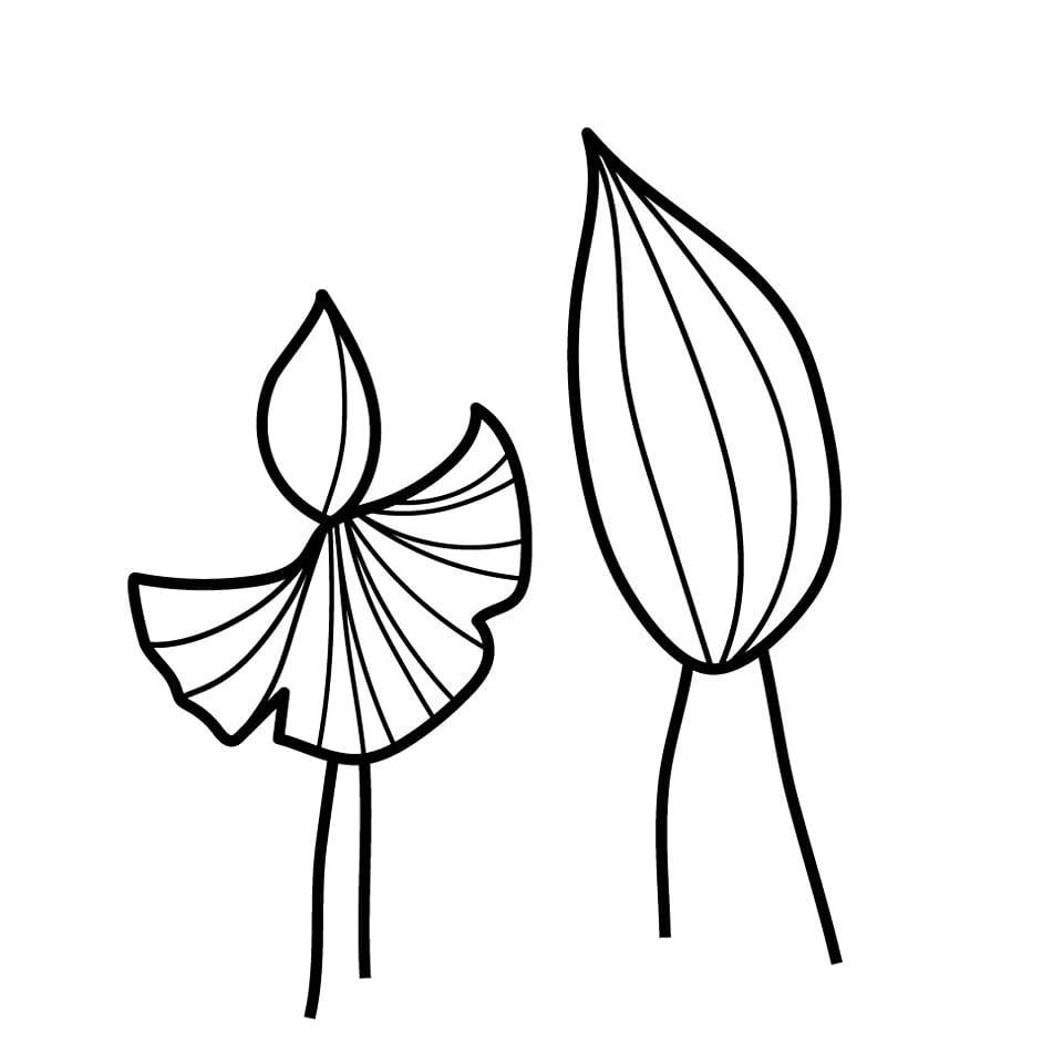 Sociāls uzņēmums "Ances dabas māja " Divas stilizētas lapas — melnbalts līniju zīmējums uz balta fona.